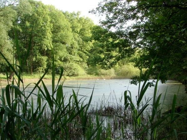 Heidesee Ferienhaus Bindow מראה חיצוני תמונה
